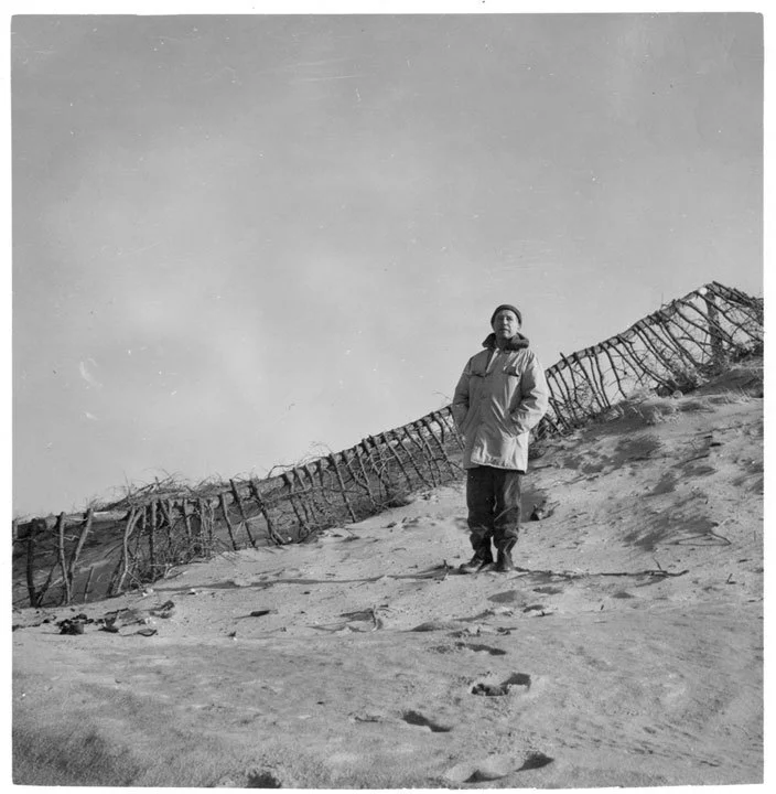 Jack Tworkov in dunes, Christmas c.1960