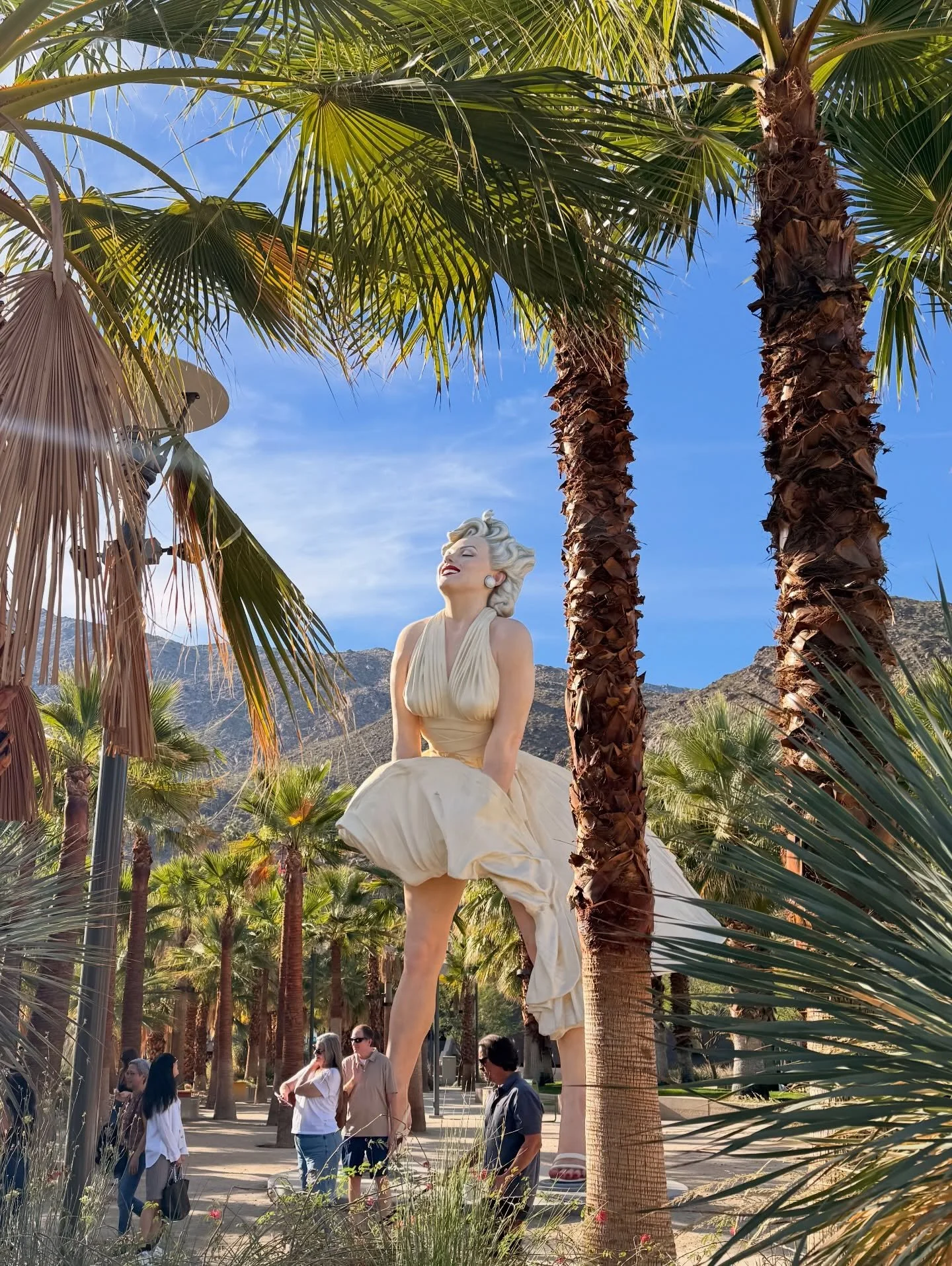 Scenic vistas and random, beautiful moments from 2025. Cheers to 2026 and the new memories to be made 💕