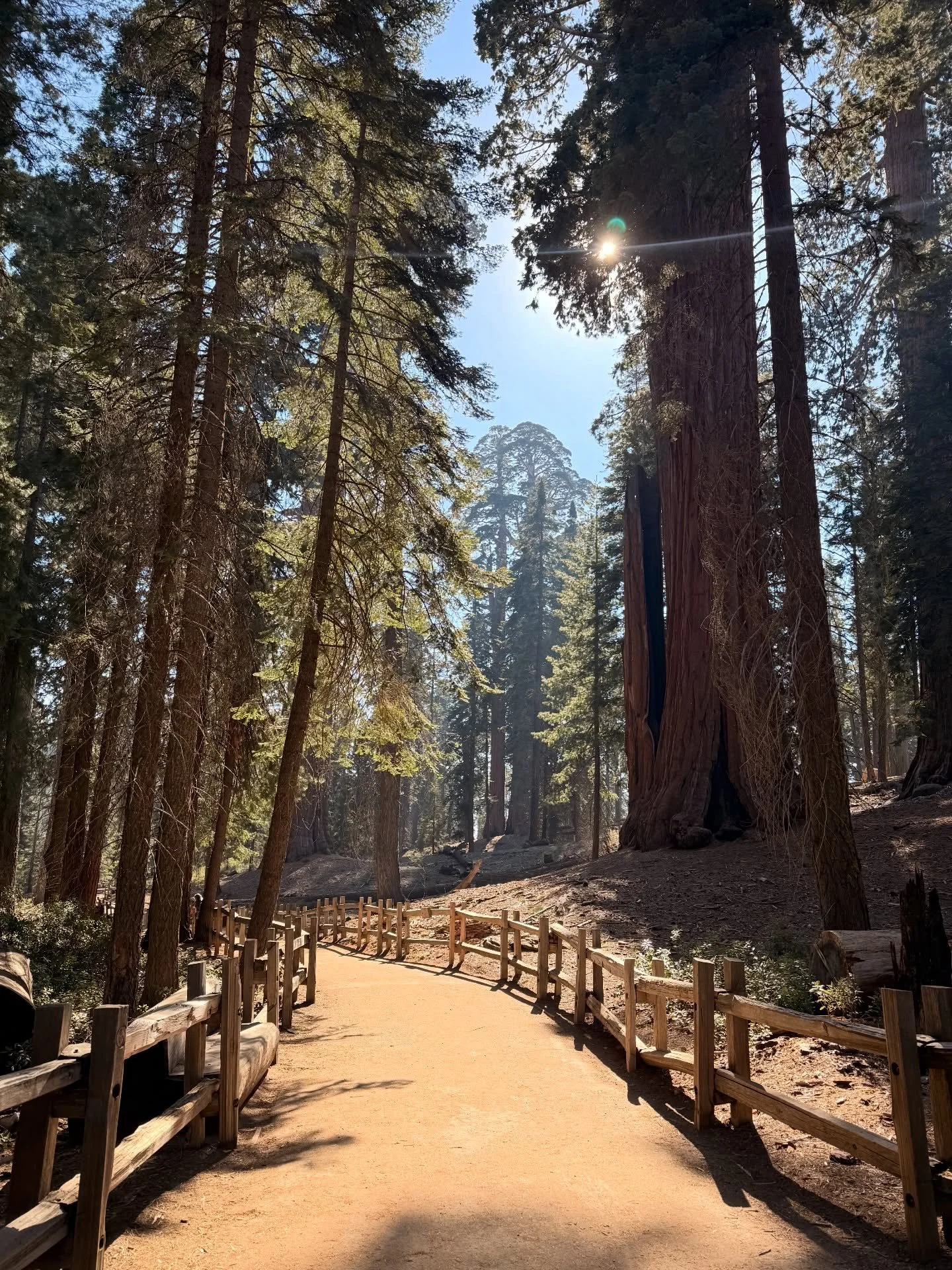 Drives, hikes, and sights with the best of the best 🌲Sequoia and King&rsquo;s Canyon -> Yosemite -> South Lake Tahoe -> Mammoth -> L.A.