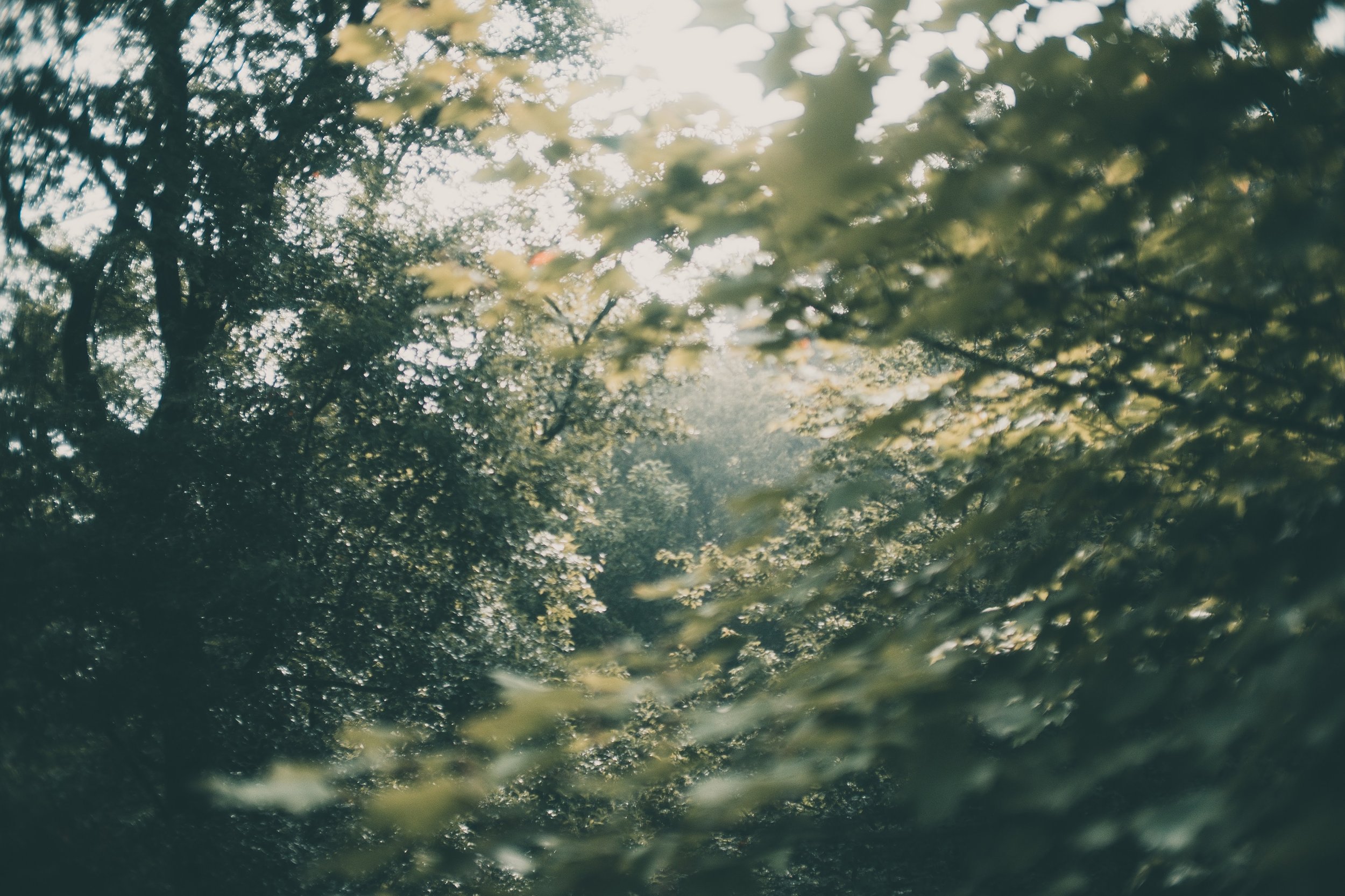 Day-Long Solitude Retreat