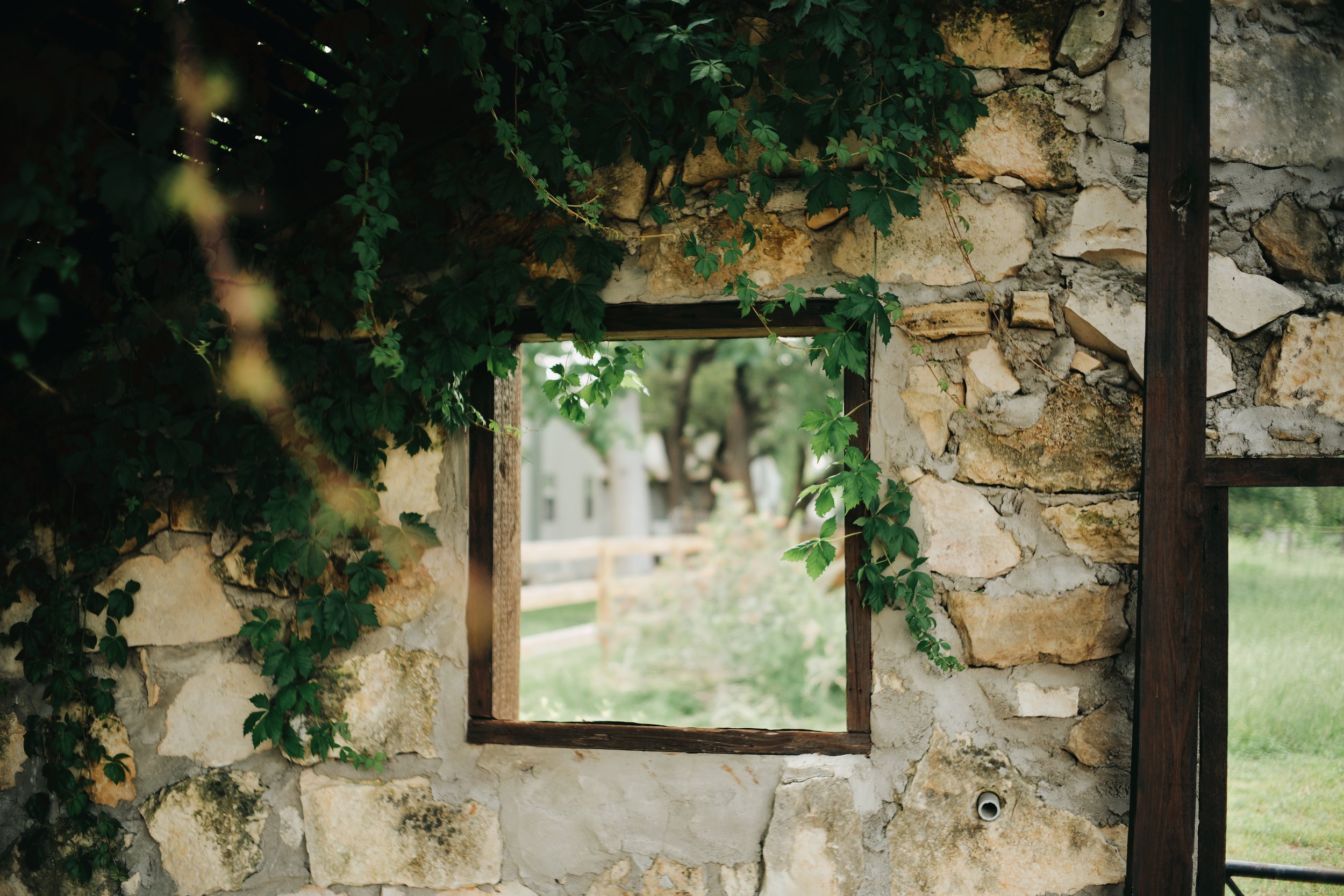 'Renewing the Mind' Day-long Solitude Retreat