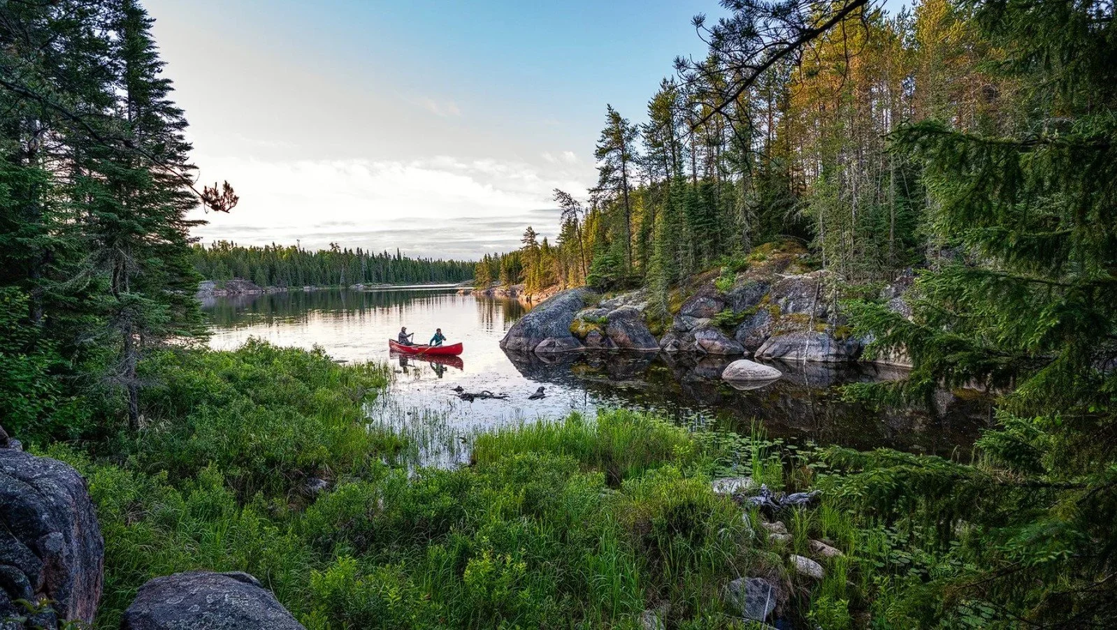 Screenshot 2025-10-10 111458.jpg