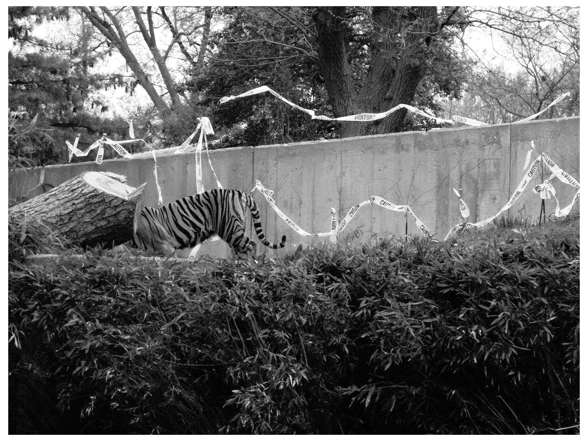 Framed-2025-04-05 230102.jpg