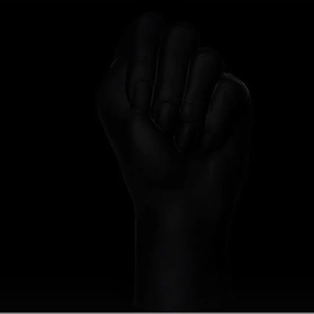 #saytheirnames #blackouttuesday
https://www.gofundme.com/f/georgefloyd