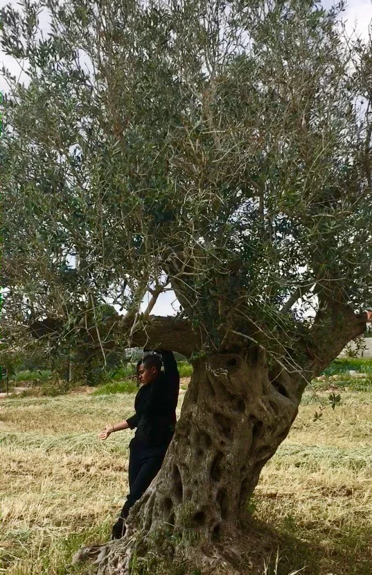 West Bank, Occupied Palestine