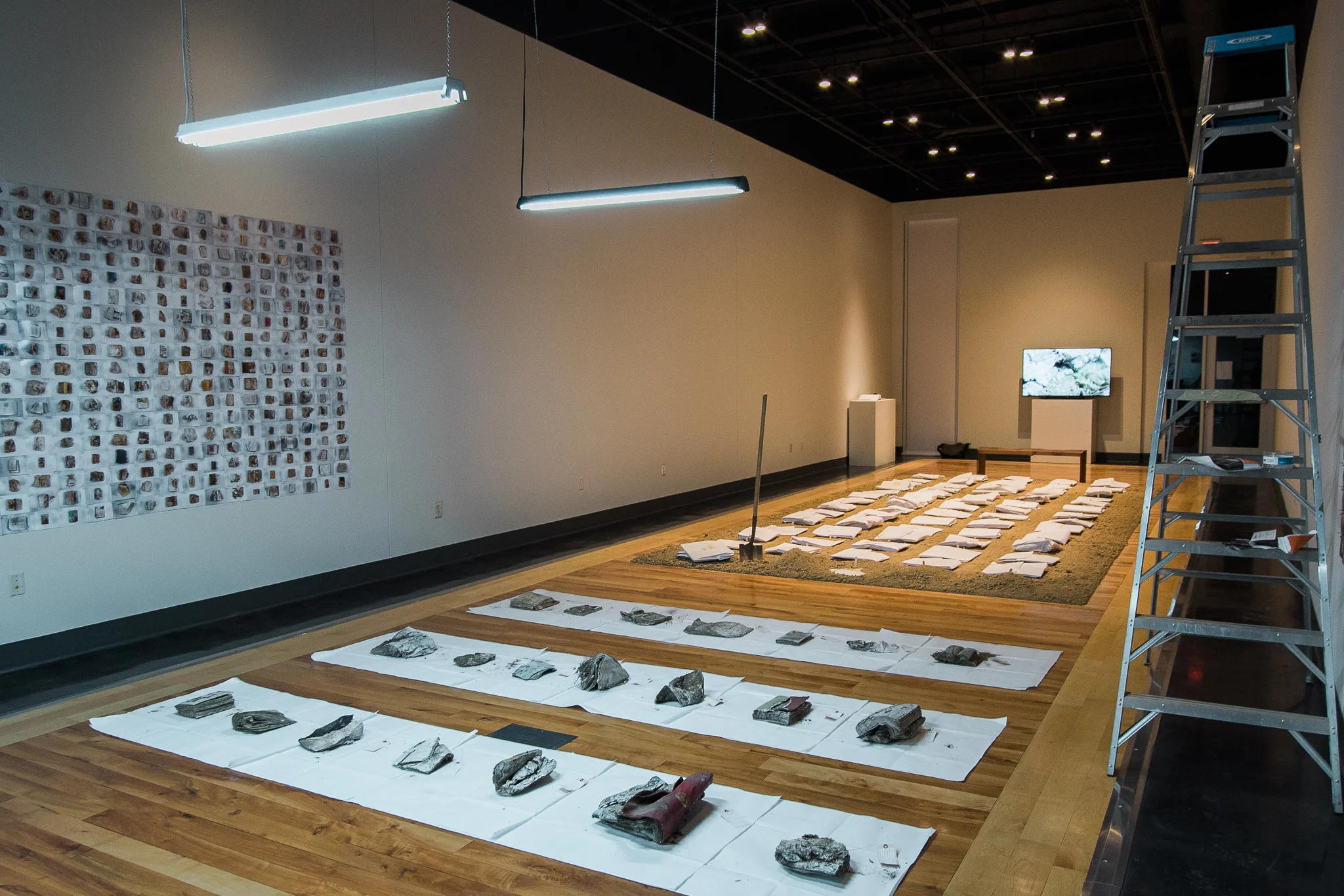 Gallery installation image from “Codex”.