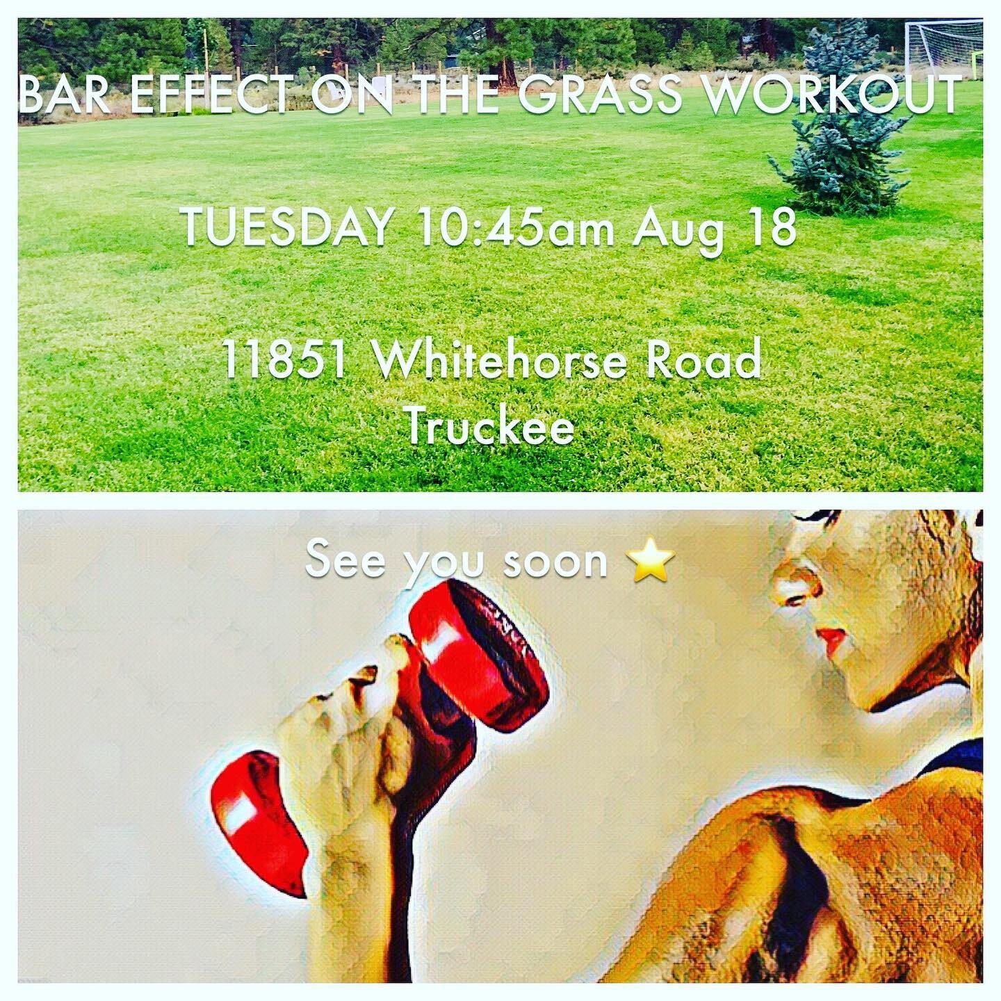 BAR EFFECT ON THE GRASS WORKOUT

TUESDAY 10:45am Aug 18

11851 Whitehorse Road 
Truckee 

See you soon ⭐️

Bring your MAT if not we have plenty