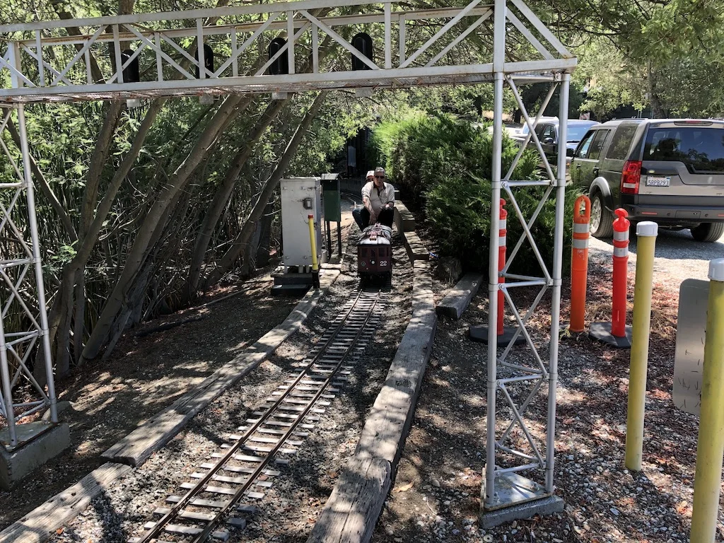 Rudi waits at the entry to the yard