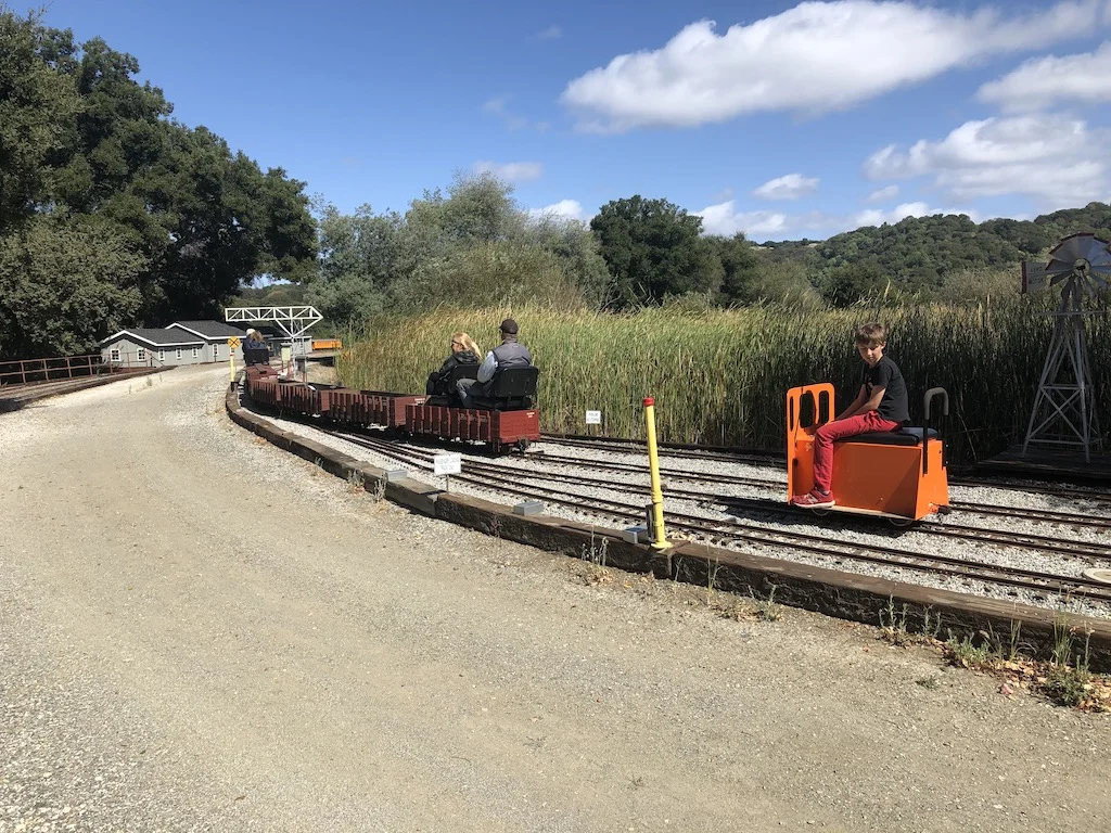 Miles chases after Bruce