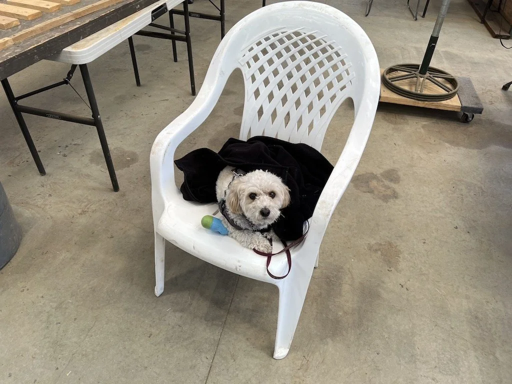 Jerry keeps an eye on Rene