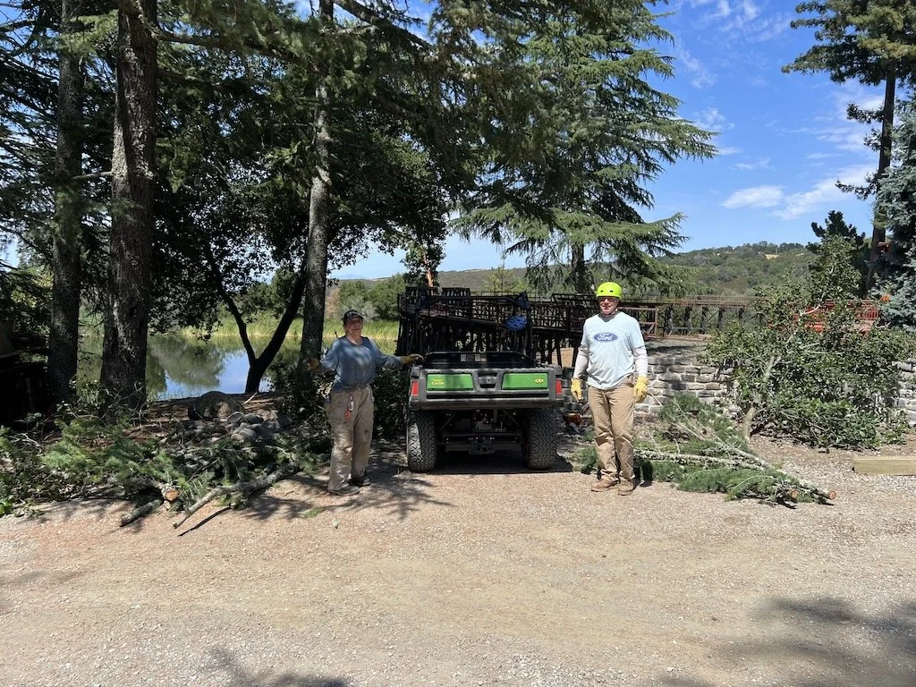 Trimming the tress around the caboose trestle