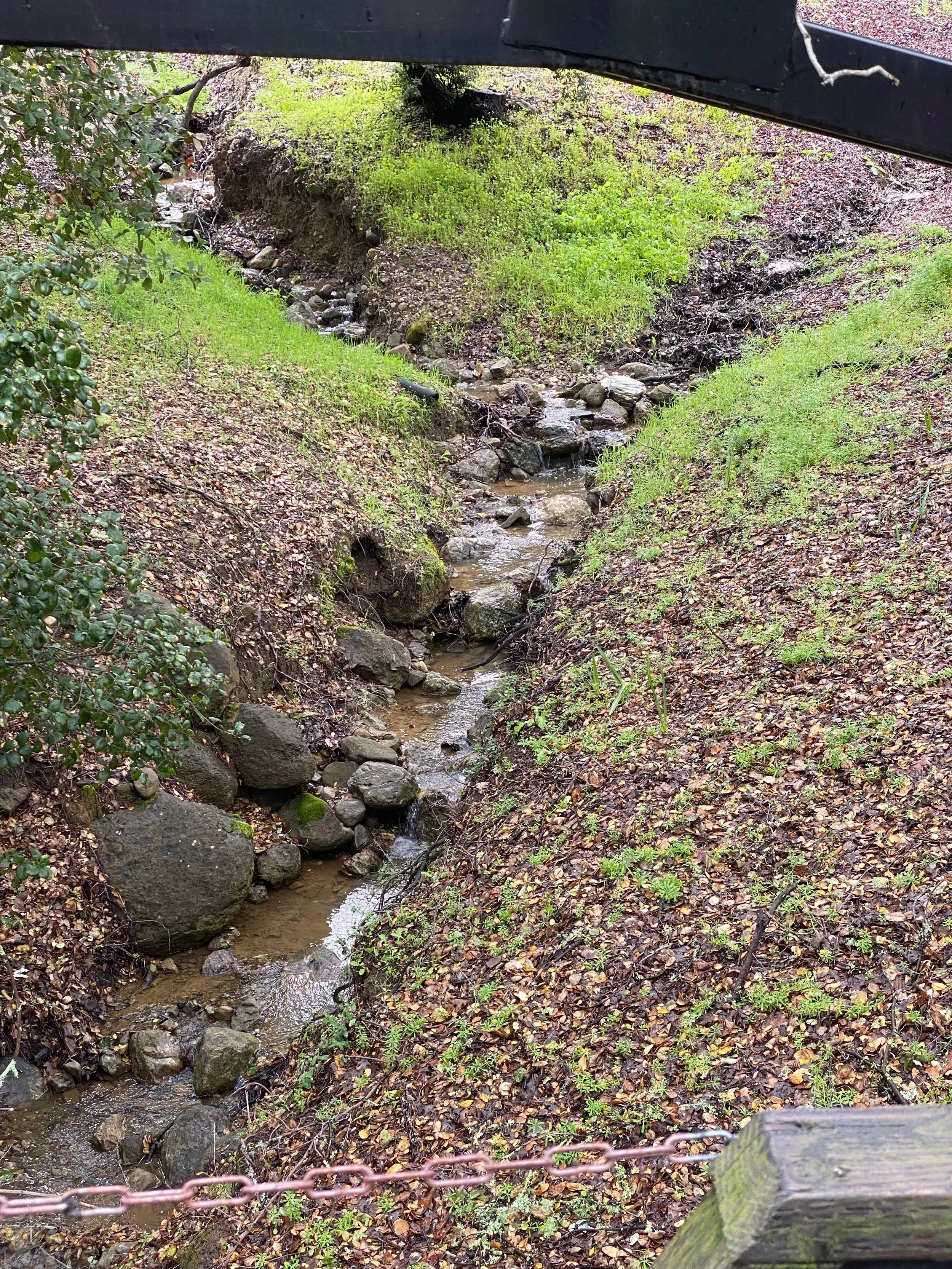 The creeks are running though not at full tilt
