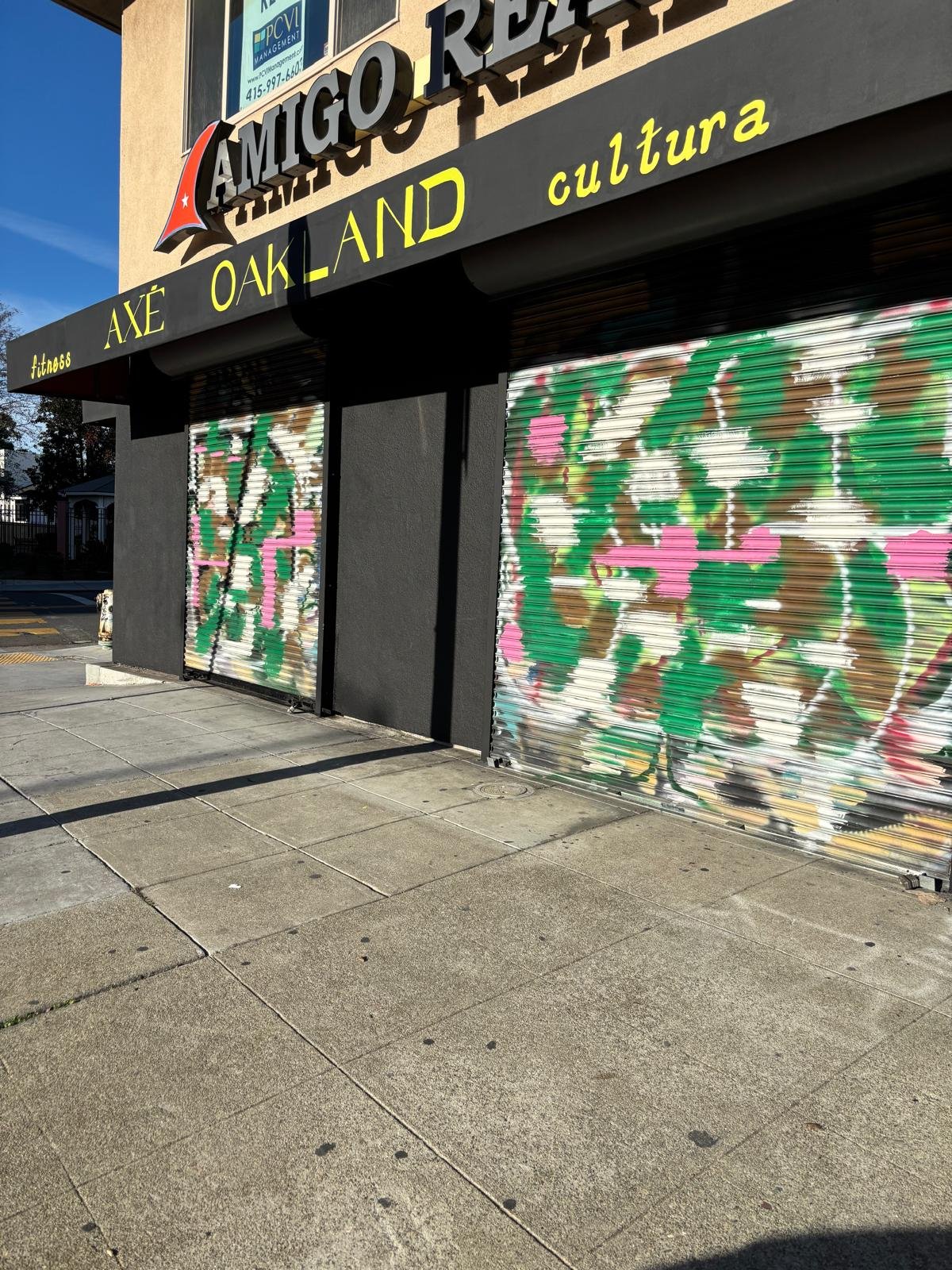 WhatsApp Image 2026-01-22 at 9.55.57 AM (8).jpeg