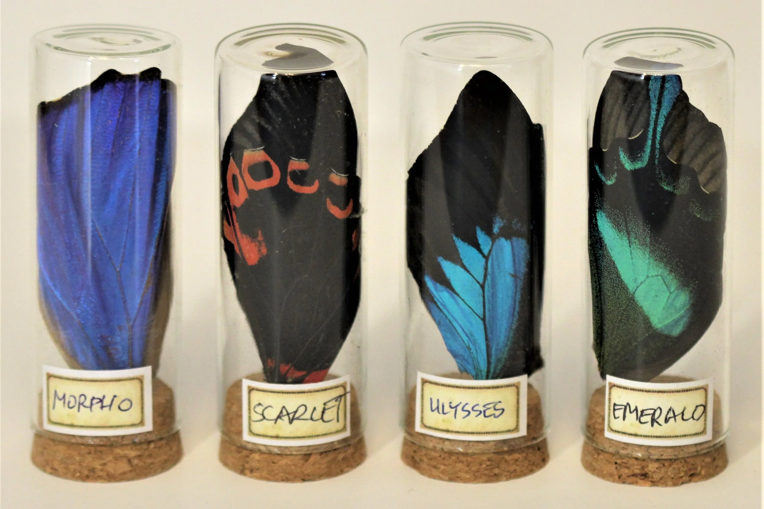 vials set four 32.JPG
