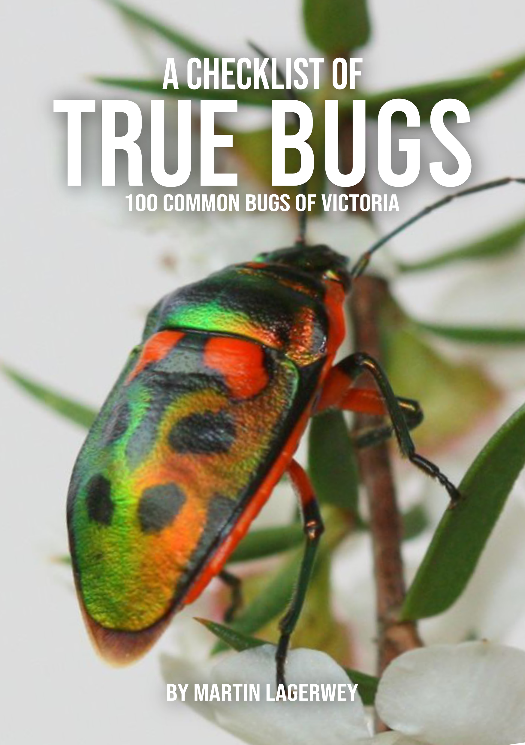 100-bugs-cover-B-02.png