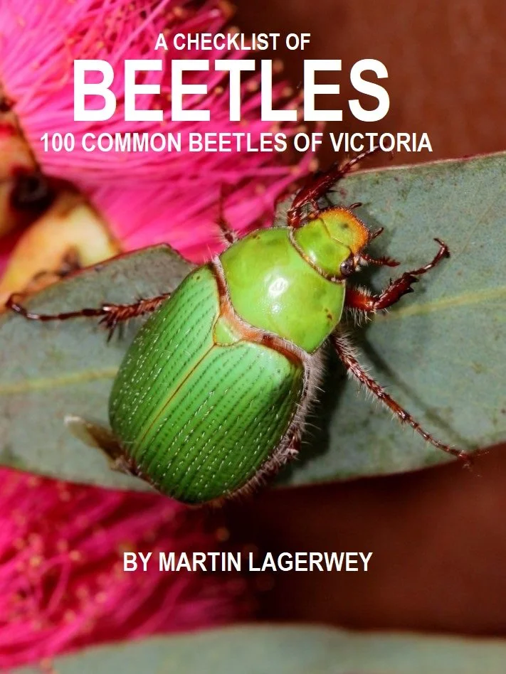 100 beetles of victoria cover.jpg