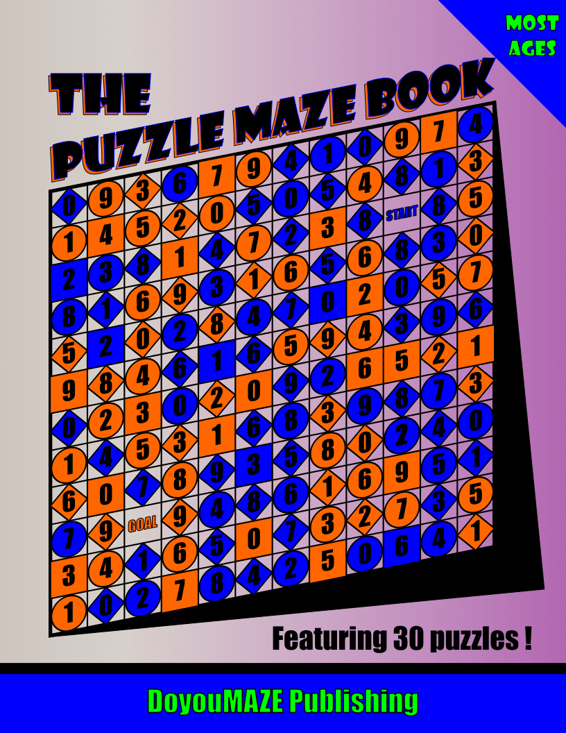 The Puzzle Maze Book