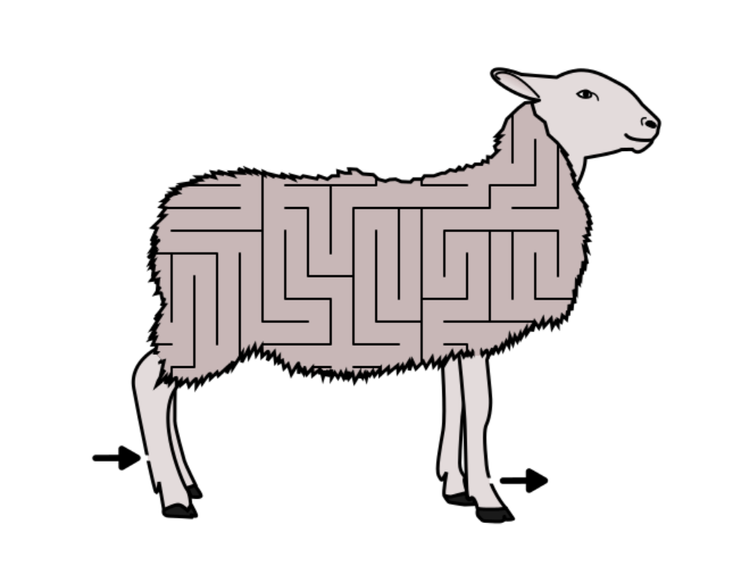 Animal Mazes - Printable mazes of Domestic and wild animals — Free ...
