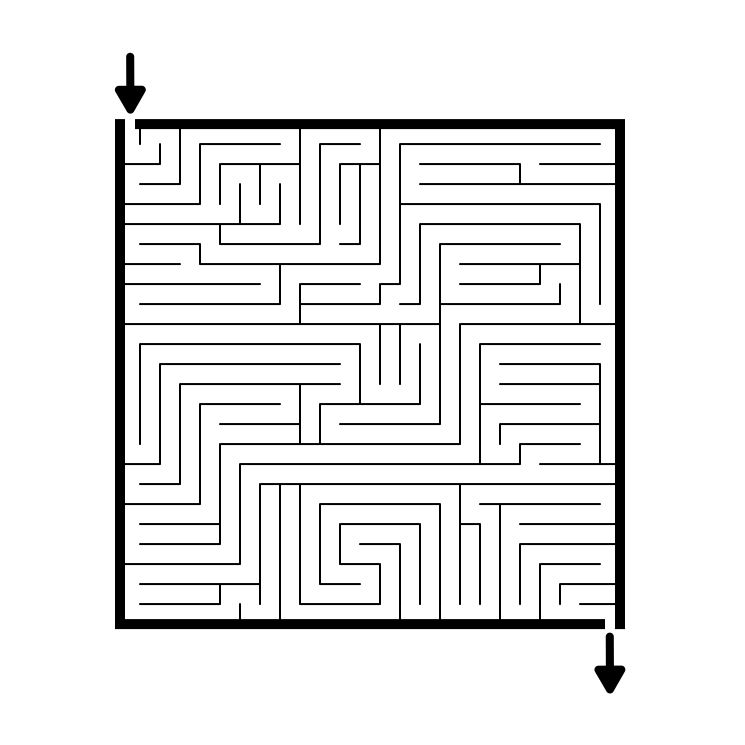 The World's Hardest Maze Only Geniuses Can Solve