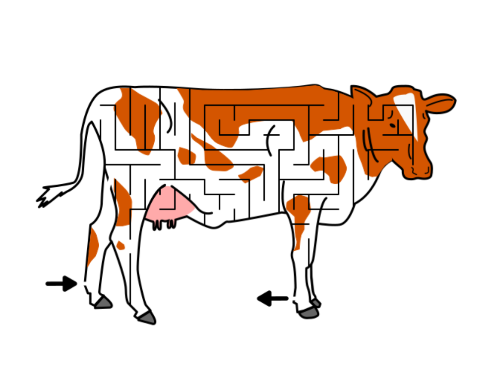 Animal Mazes - A Look at Barnyard Animal Mazes