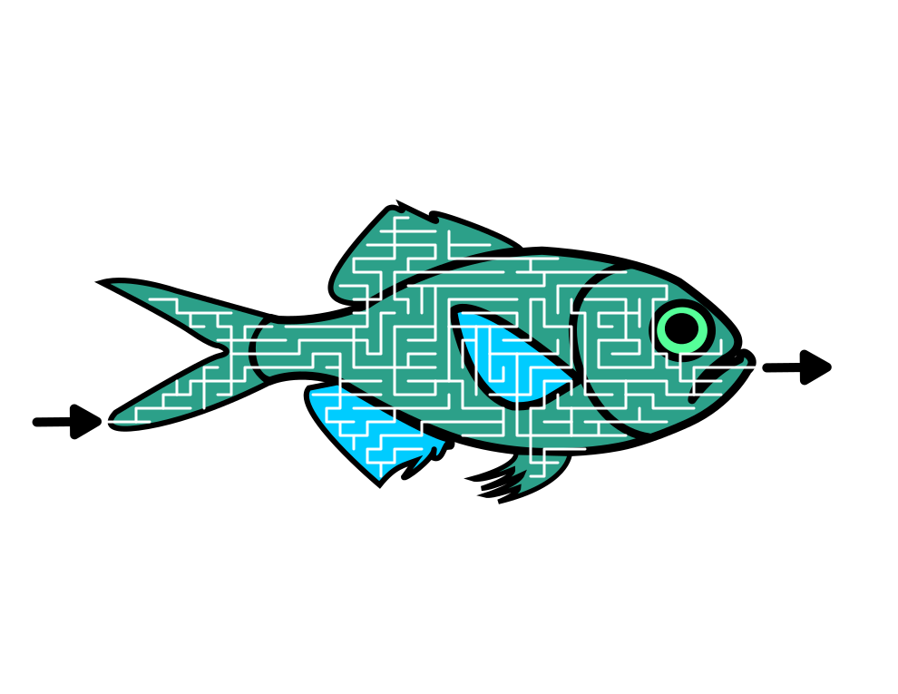 Fish Mazes for Kids 