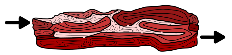 Bacon Mazes - mmmmmmm bacon