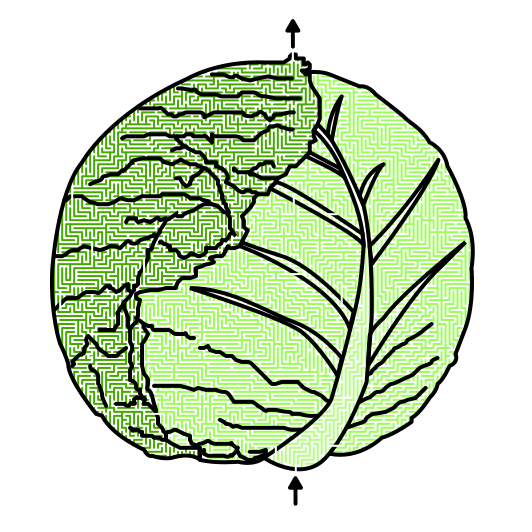 Cabbage Mazes
