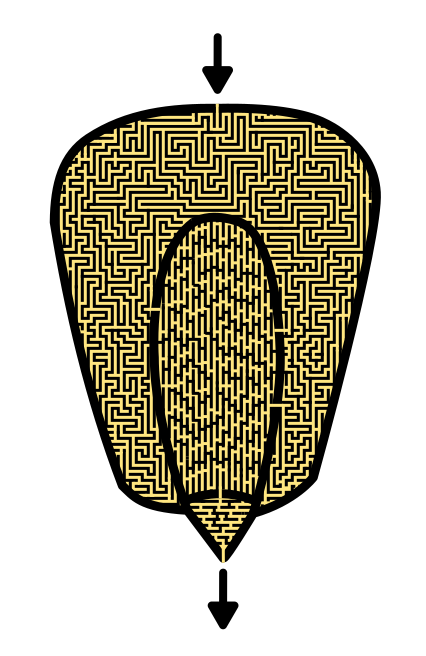 Corn Kernel Mazes