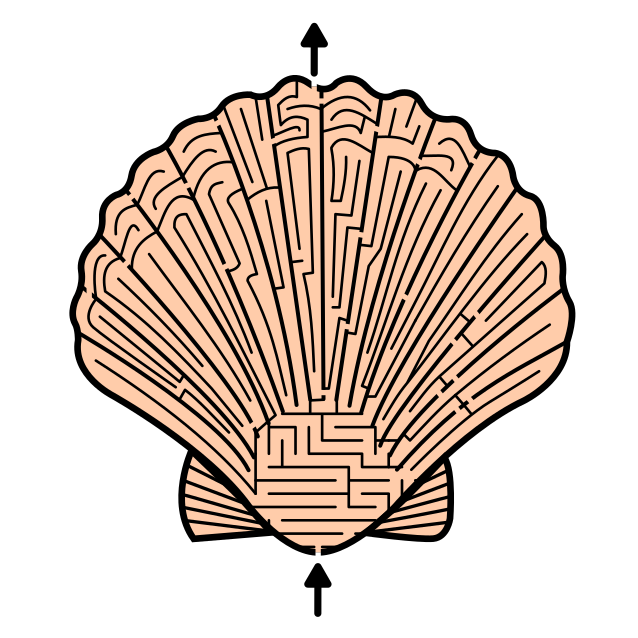 Seashell Mazes