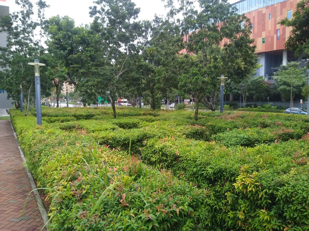 Tampines Hedge maze