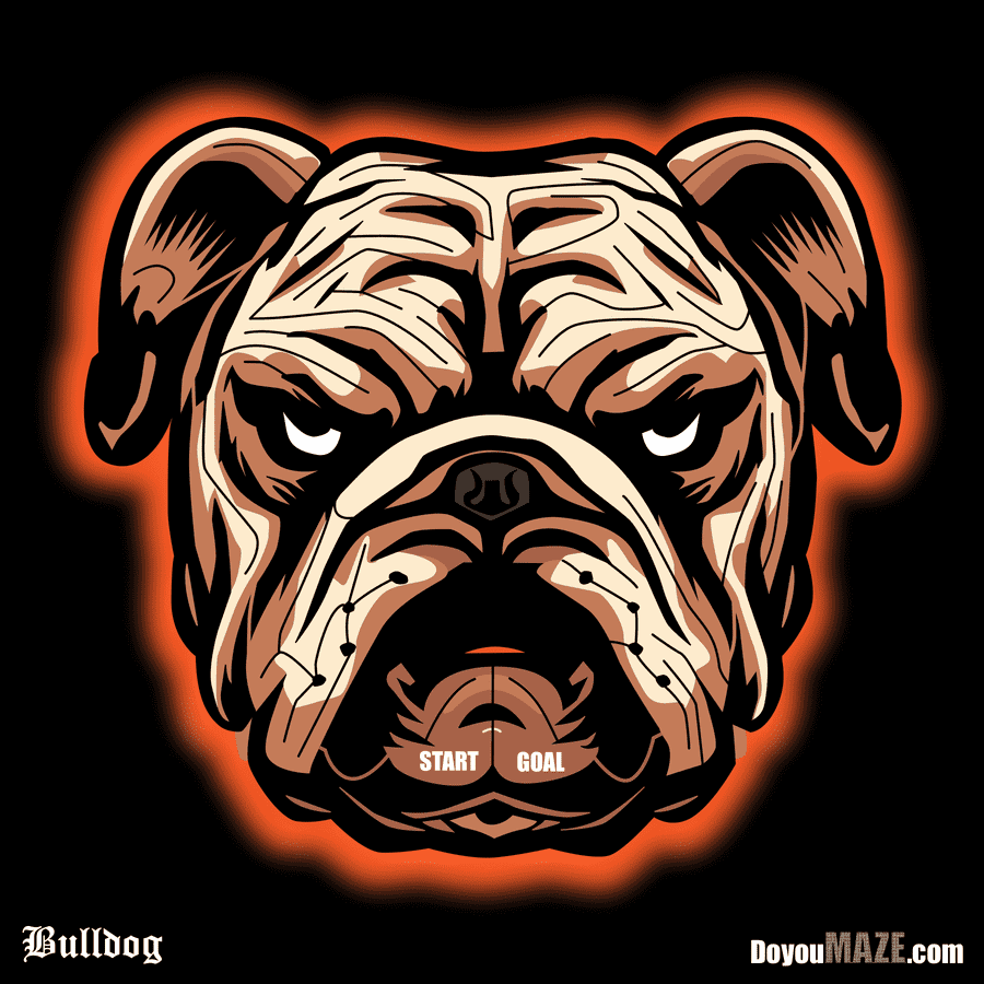 Brown bulldog maze in orange theme