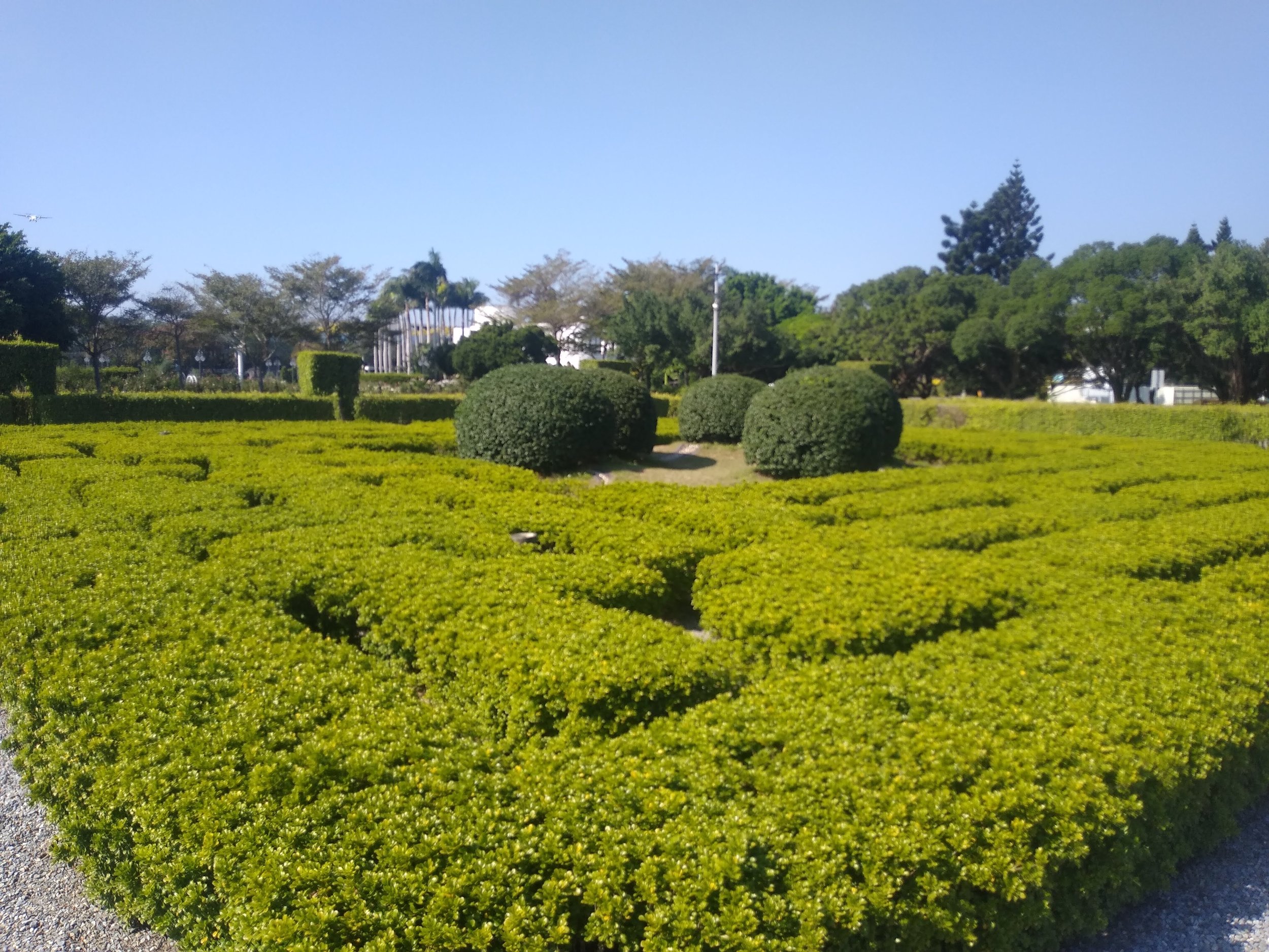 view of maze up close