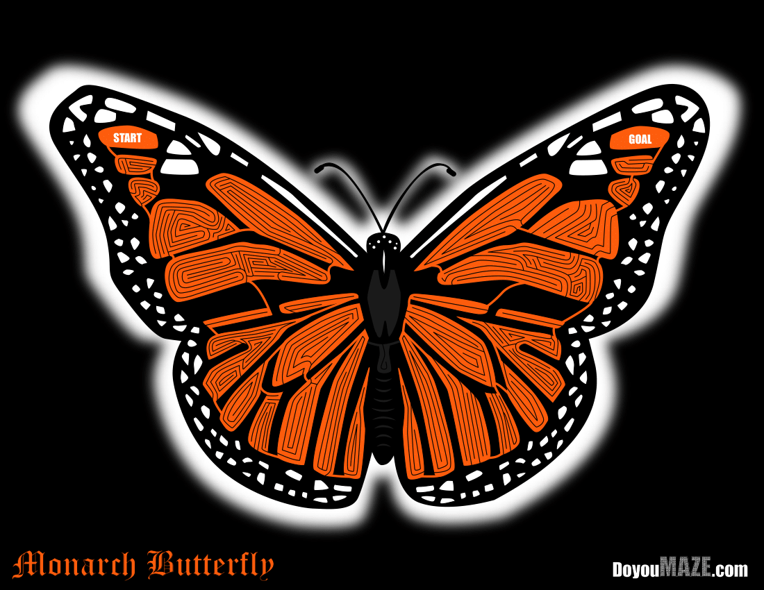 Monarch Butterfly Maze
