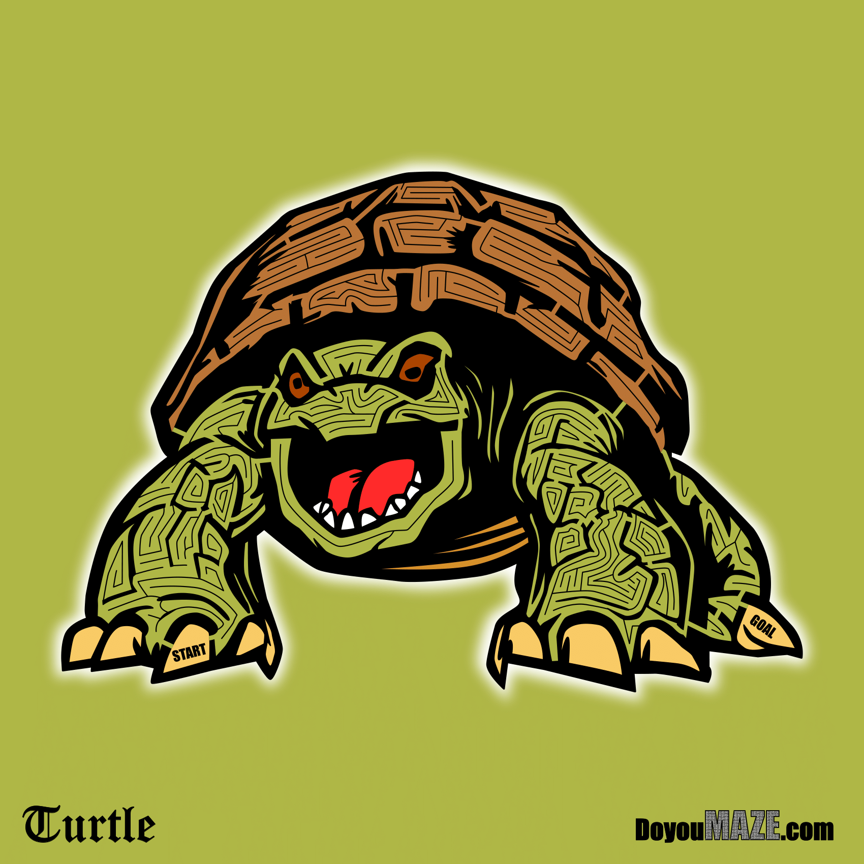 Turtle Maze