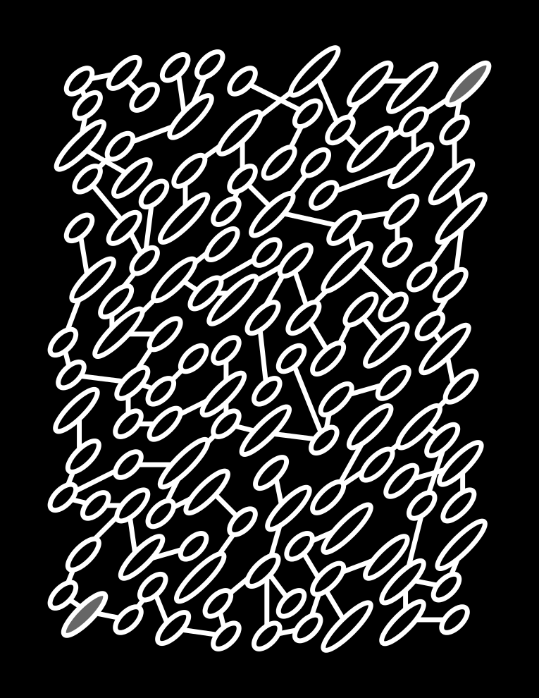 Oval maze