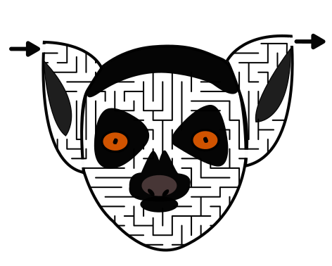Lemur maze