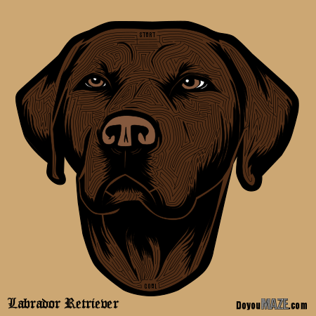 Lab Maze - chocolate