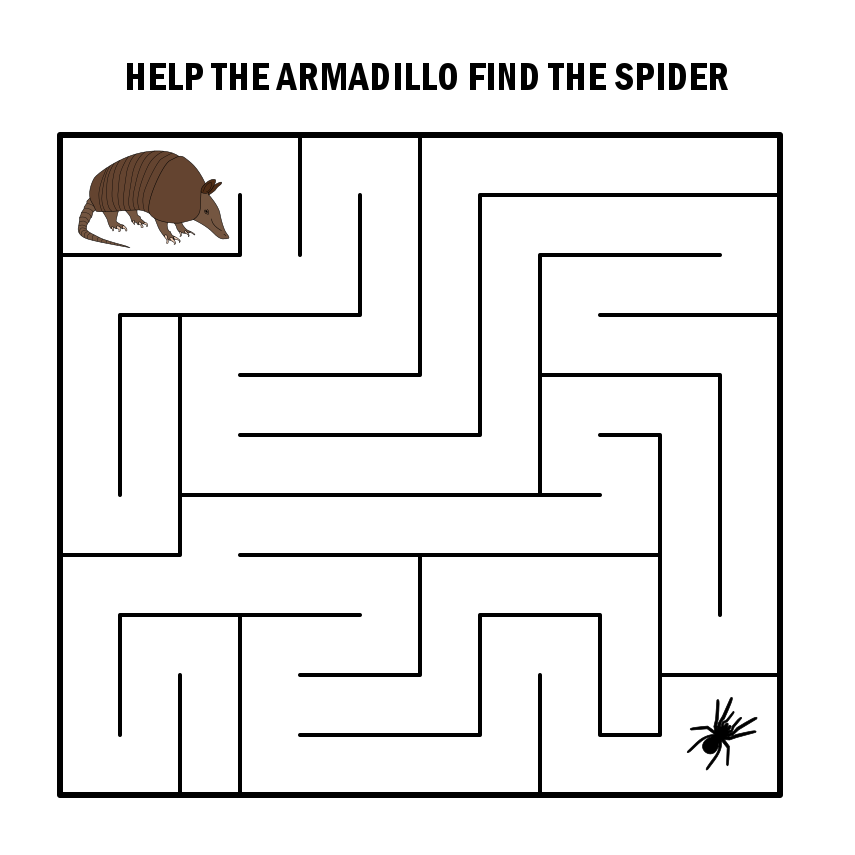 Kids Armadillo to Ant Maze
