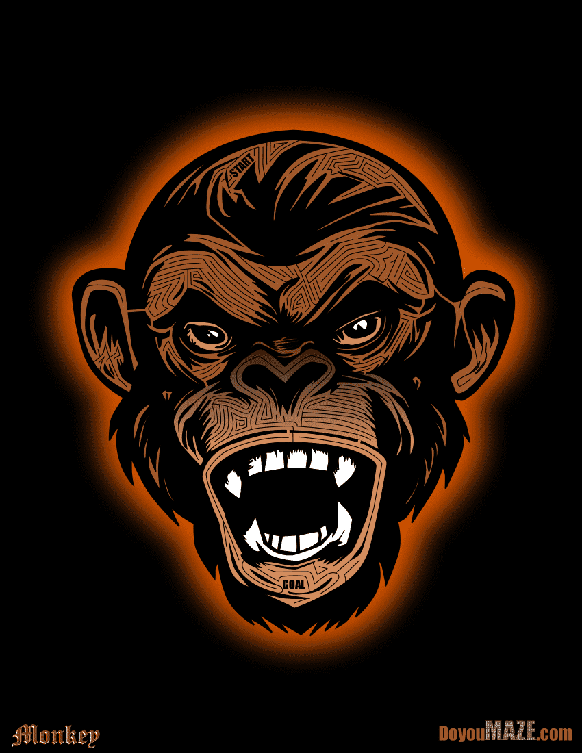 Monkey maze