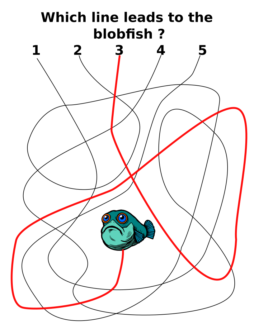 How to make a Line Leads Maze step 6 solution