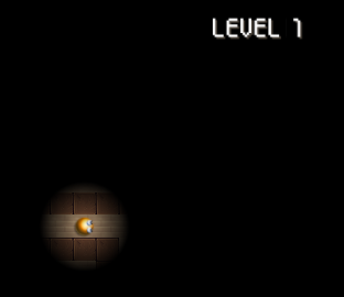 Maze Shadow gameplay example