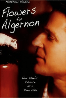 Flowers for Algernon (2000) movie poster