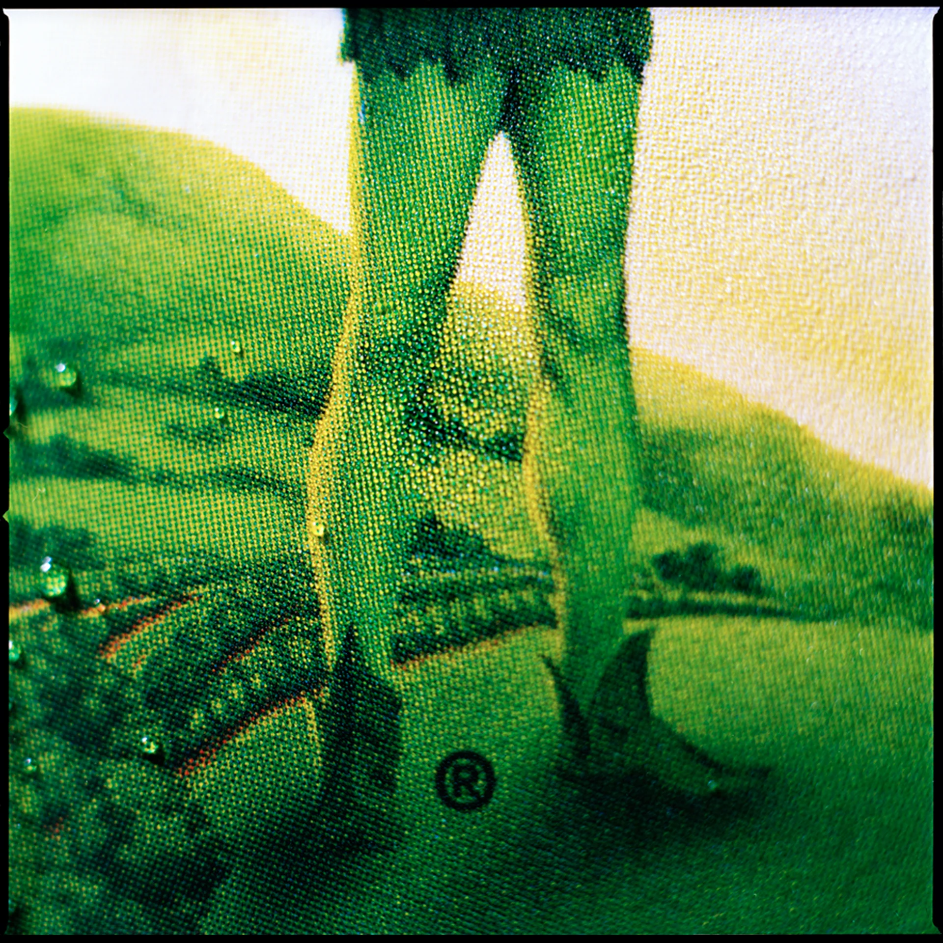 Untitled13.jpg