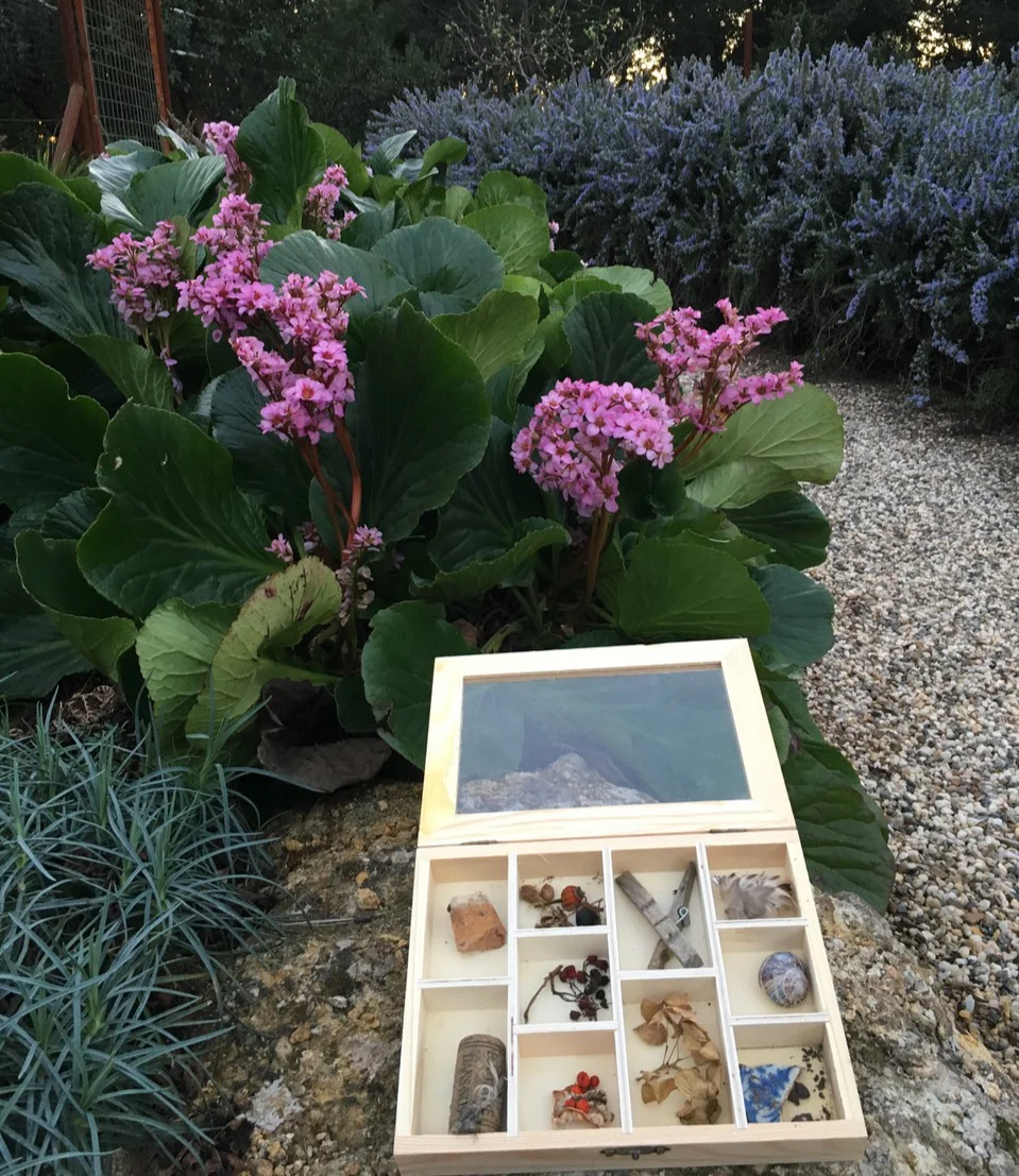 Jaqueline’s ‘Walk box’ in Arminee's Garden. Image credit Arminée Chahbazian.