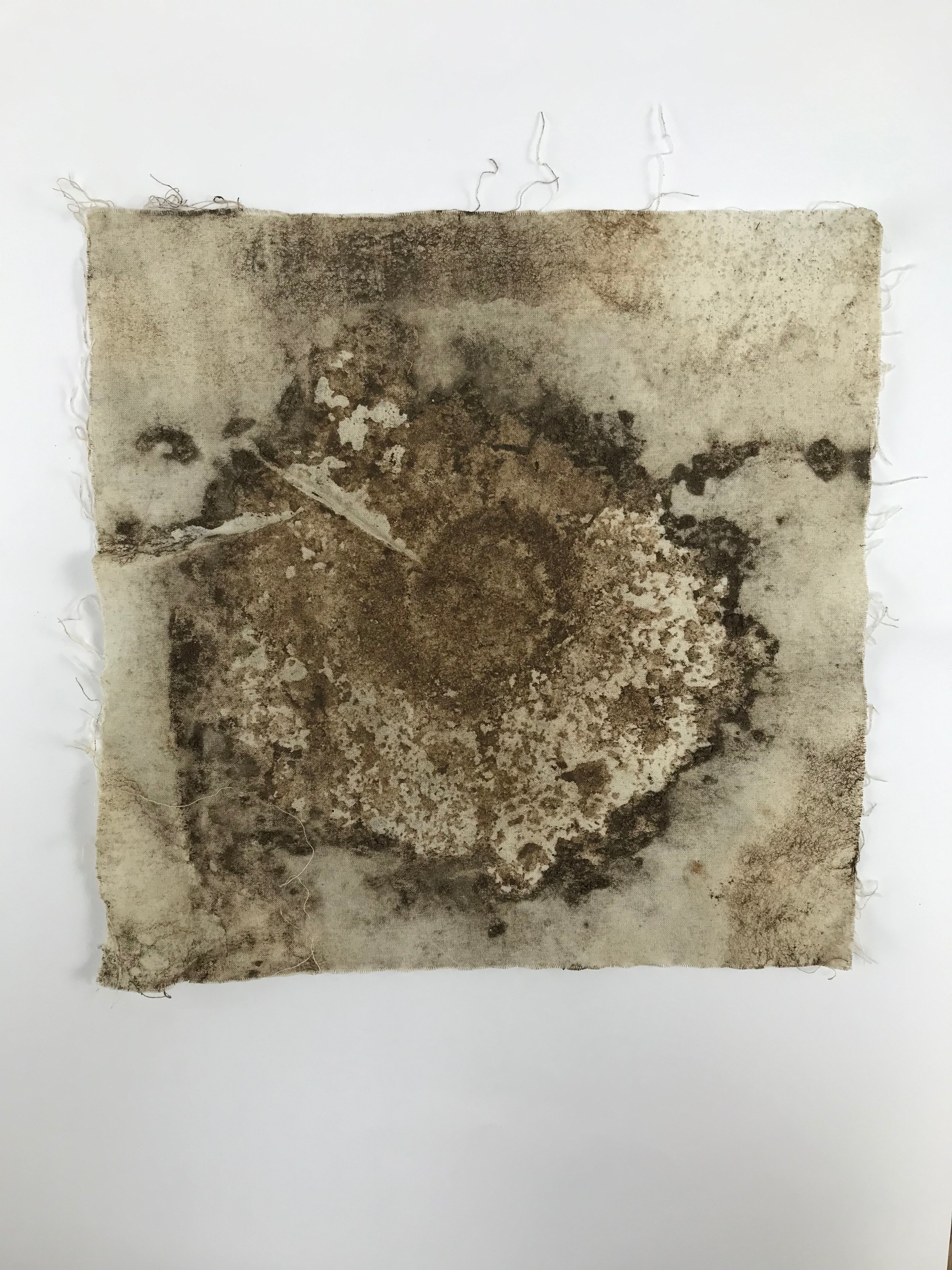 Mineral 1(2).jpg