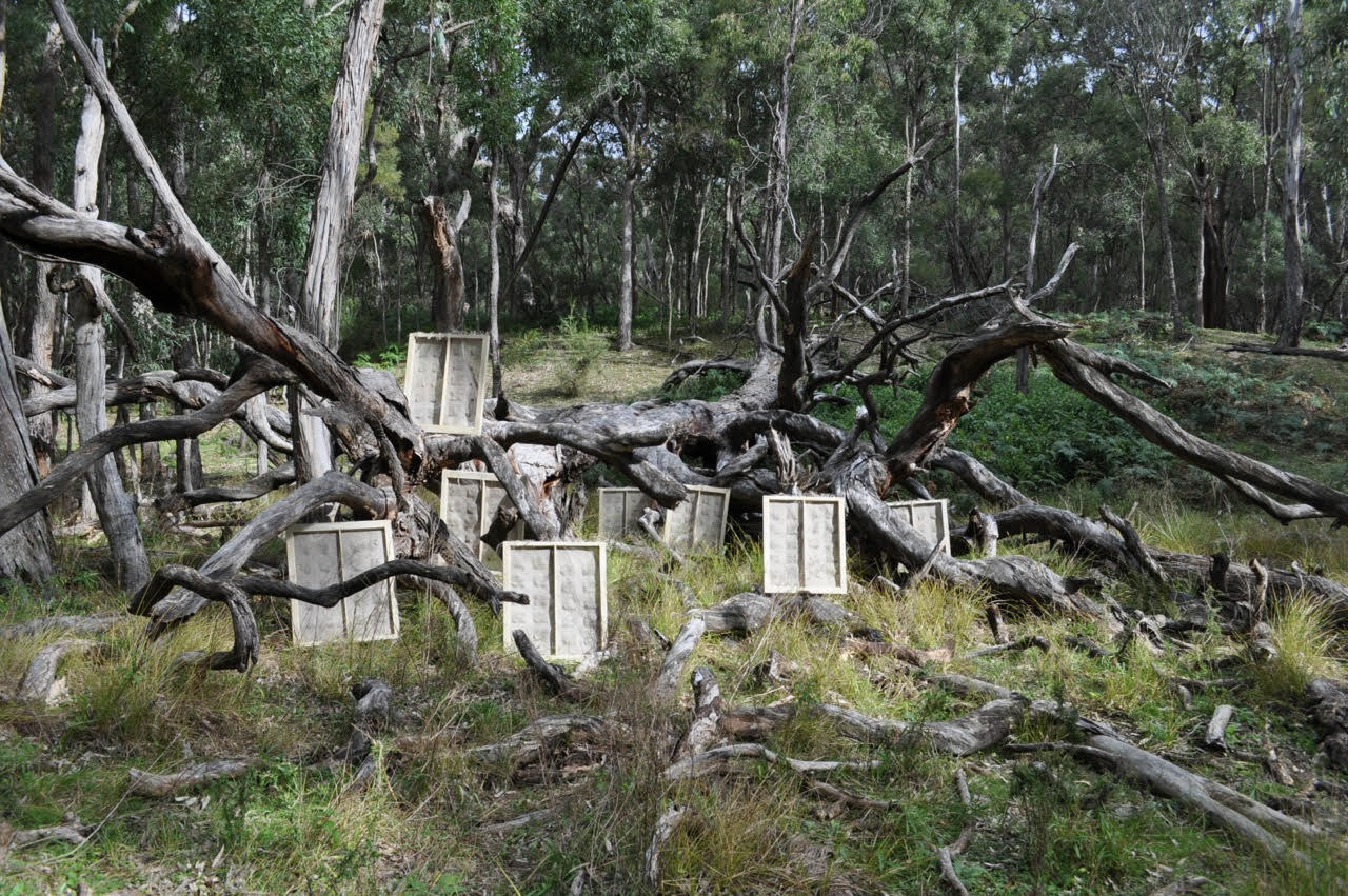Installation shot from Kelly Leaonard in Australia sent to Beatrice Lopez in Norway.jpg