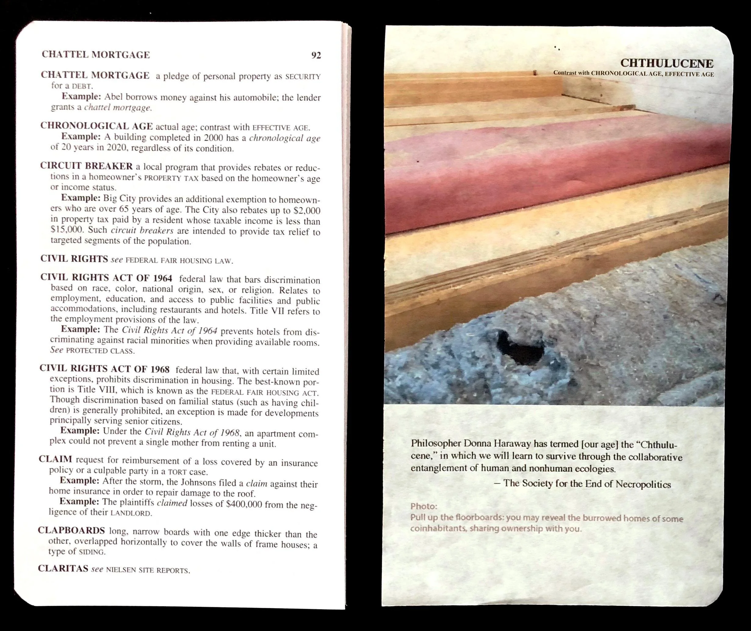 An insertion: ‘Chthulucene’ , with reference to other Real Estate Dictionary entries such as ‘Effective age’