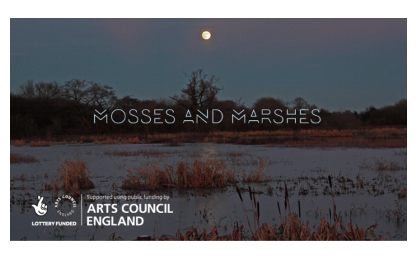 Mosses and Marshes Launches!