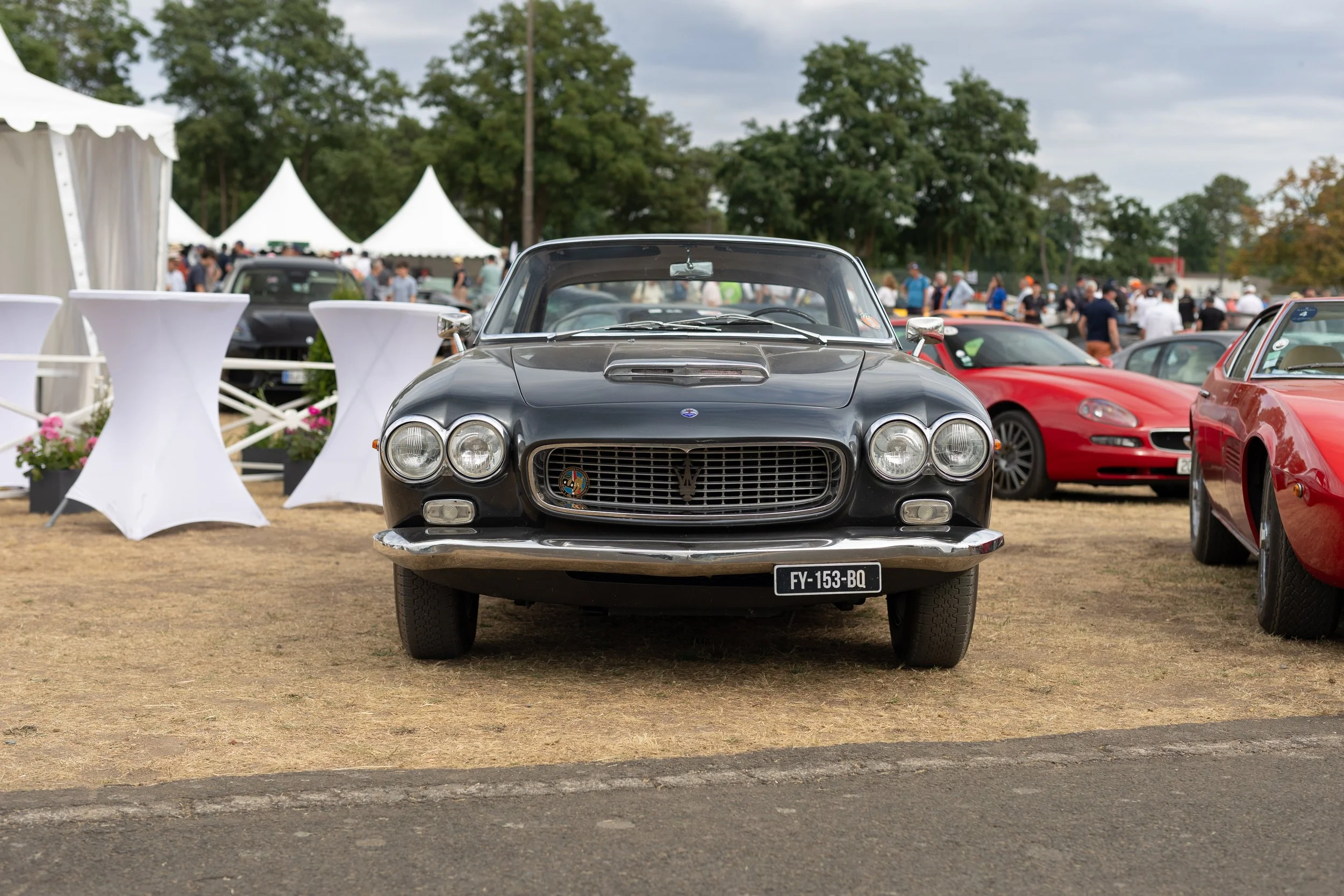 6D3A6678.jpg