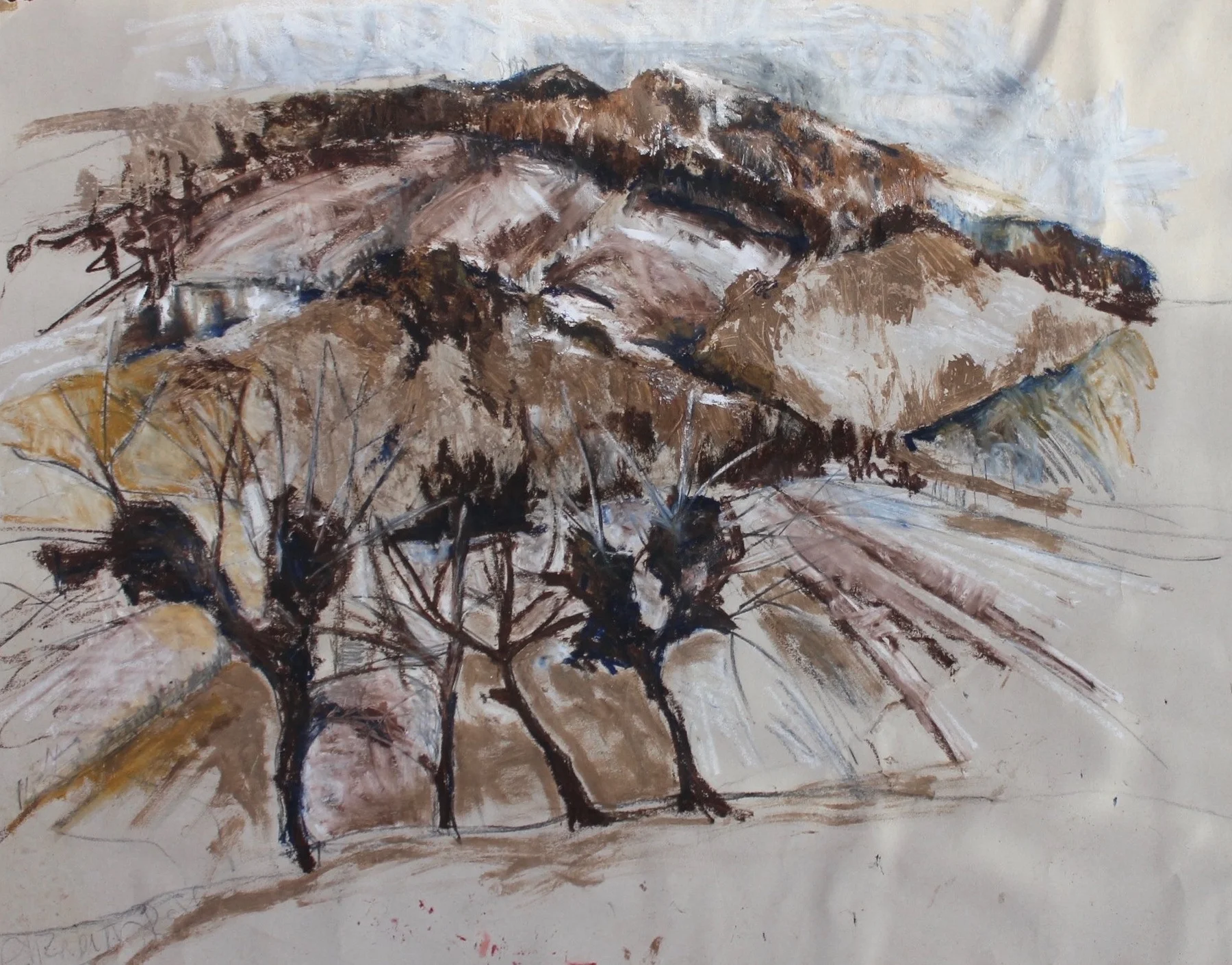 Hod Hill